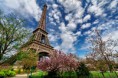 /album/galerie-foto/magnolias-en-fleurs-au-pied-de-la-tour-eiffel-5-jpg/